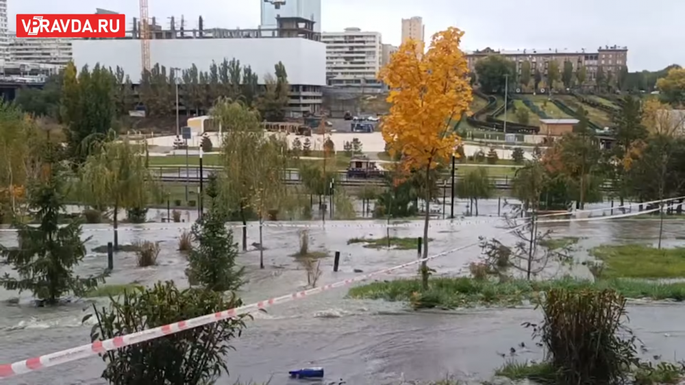 Кадр из видео аварии в Волгограде