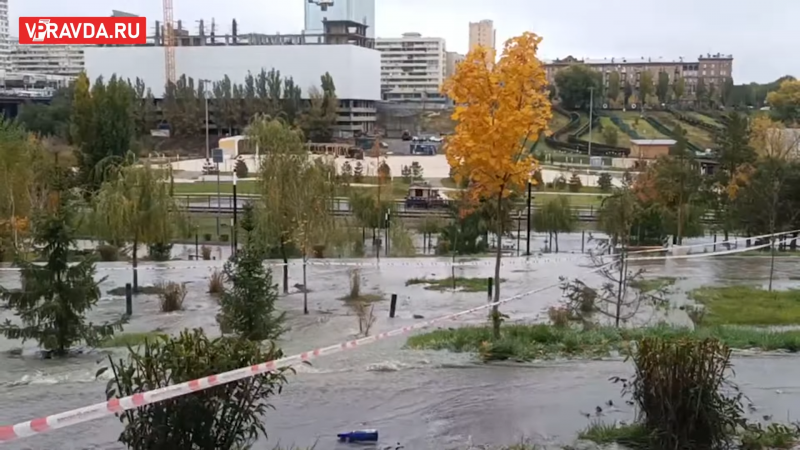 Кадр из видео аварии в Волгограде