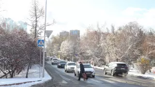 Акимат Алматы обратился к водителям