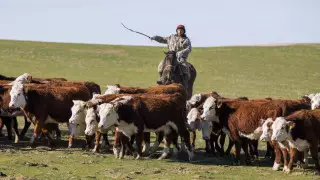 Как господдержка помогает развитию села в ЗКО