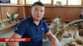 ДТП с автобусами в Алматы: родные погибшего требуют наказать виновных