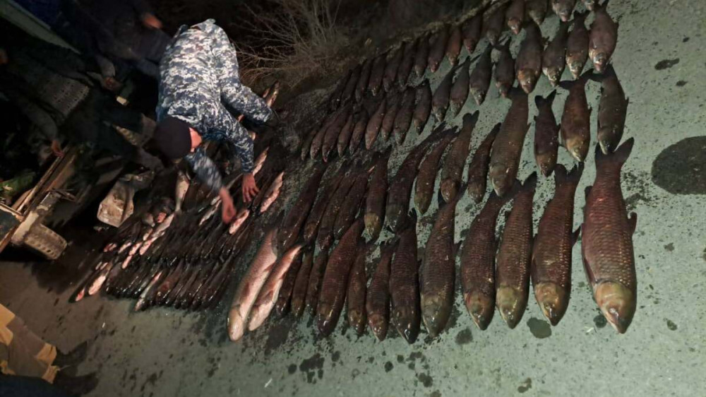 Рыбаков-браконьеров задержали в Кызылординской области