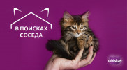Годовой запас корма от Whiskas: В Алматы прошла акция для любителей кошек