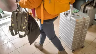 Сколько этнических казахов переехало из России в Казахстан с марта