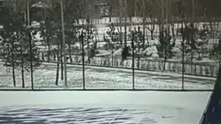 Подростки избили и ограбили мужчину в Астане