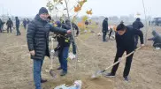 600 деревьев посадили в одном из парков Жамбылской области