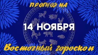 Гороскоп на сегодня: что нас ждет 14 ноября?