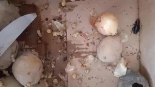 На питание из испорченных продуктов в больнице пожаловалась кызылординка