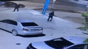 Драка со стрельбой в актауском баре попала на видео