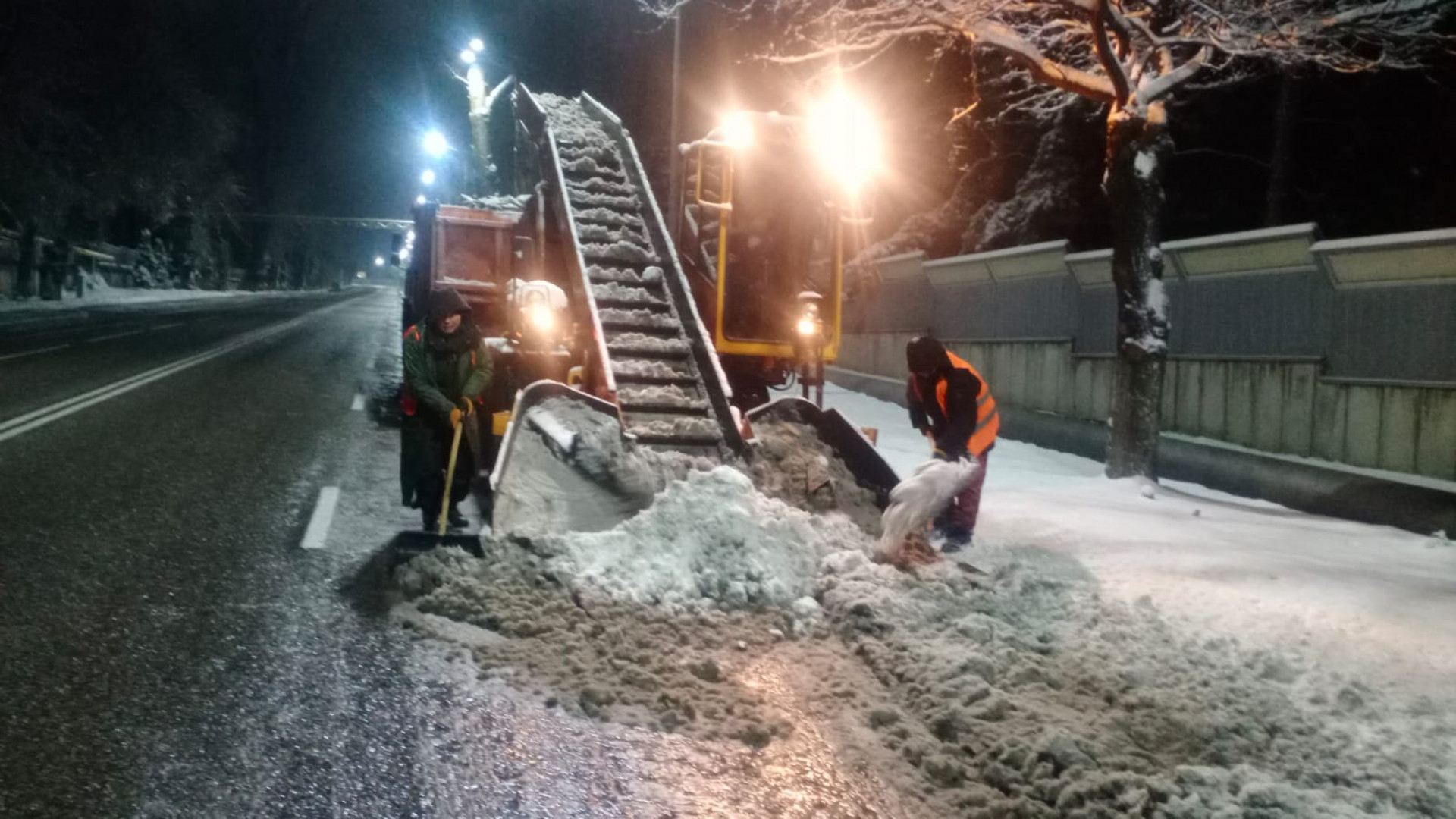 Зимой выпало много снега руководство города организовало в парках много бесплатных лыжных маршрутов