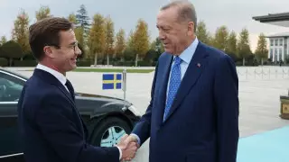 Швеция согласилась изменить конституцию из-за требований Эрдогана