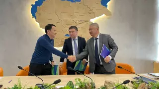 Сельхозпроизводителям Алматинской области выделят места на "Алтын Орде"