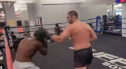 Боец UFC подрался с троллем из соцсетей
