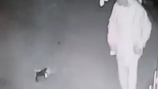 Прыгнул на голову кошке в Актау: суд вернул дело прокурору