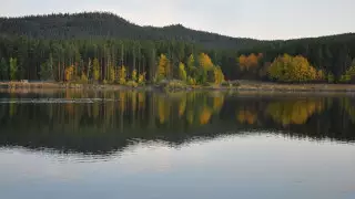 Земли нацпарка в Карагандинской области сдают в аренду для развития туризма