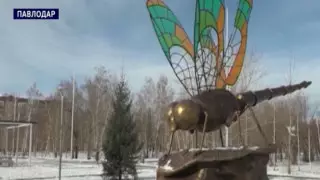 Гигантская стрекоза появилась в Павлодаре