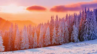 38-градусные морозы идут в Казахстан