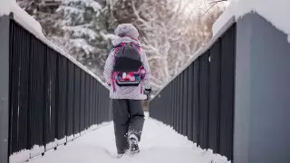 Школьников первой смены перевели на дистанционный формат в ряде регионов Казахстана
