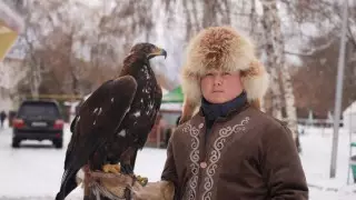 Лучших беркутчи выбирали в Алматы
