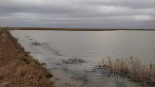 Озеро площадью шесть гектаров неожиданно образовалось в степи под Атырау