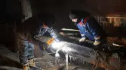 "Запустить тепловую сеть в морозы - героизм": эксперты о возвращении тепла в Экибастуз