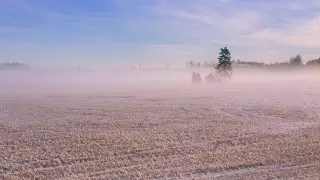 Морозы до 34 градусов: Какая погода ожидает казахстанцев 8 декабря