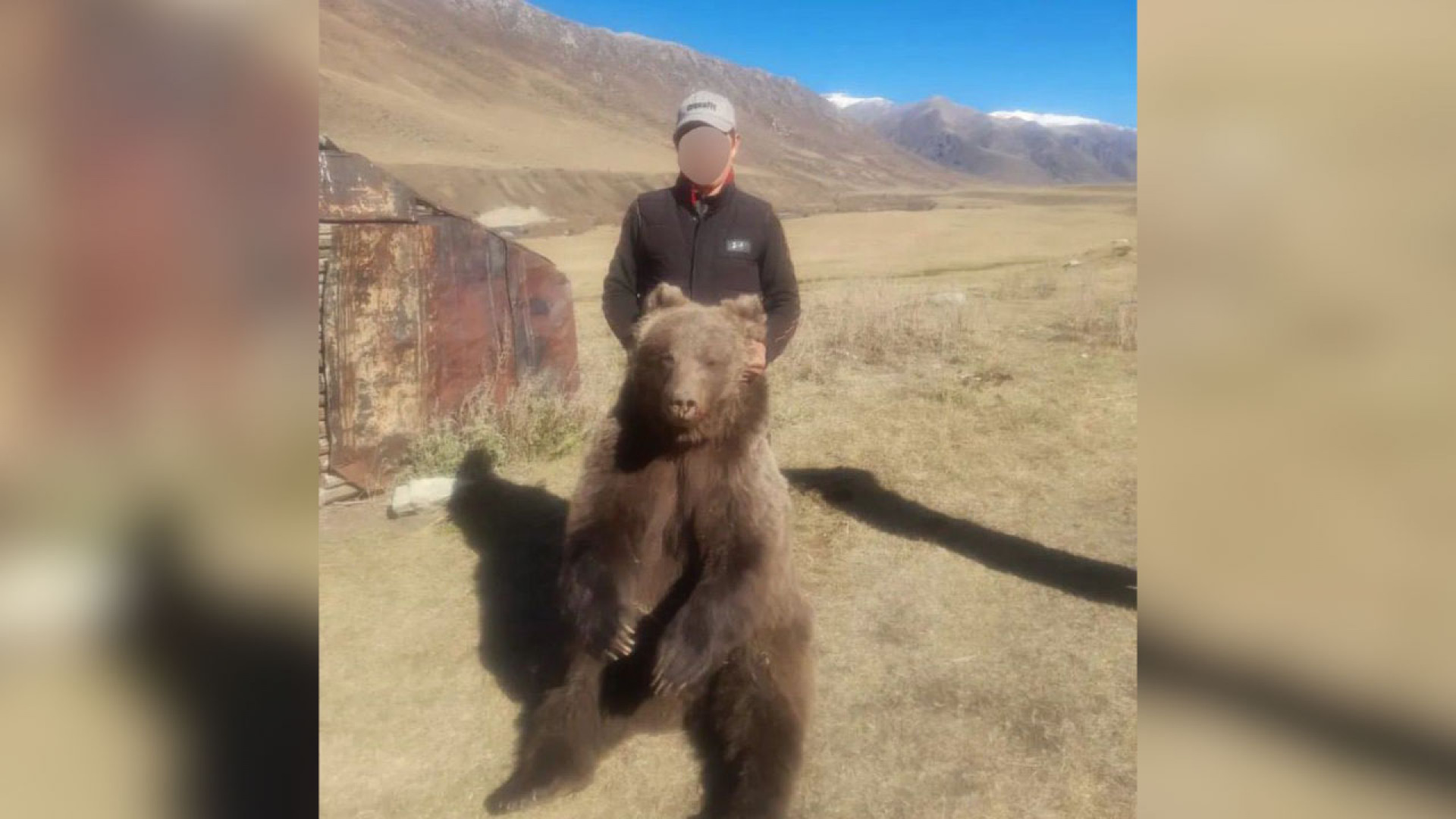 охота на медведя голыми руками