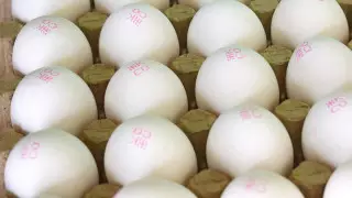 Костанайскую птицефабрику заподозрили в установлении высокой цены на яйцо