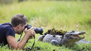 "Взгляд кошки, грация картошки": выбран победитель конкурса на самое смешное фото диких животных