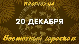 Гороскоп на сегодня: что нас ждет 20 декабря?