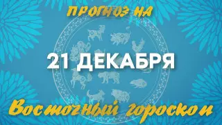 Гороскоп на сегодня: что нас ждет 21 декабря?