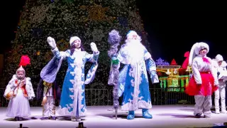 Новогоднюю елку зажгли в Кызылординской области