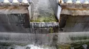 Вызывает рост болезней. О критическом состоянии канализации заявили в Казахстане