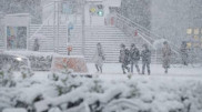 Из-за сильных снегопадов в Японии погибли 17 человек