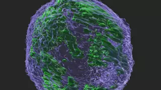 Противовирусный фермент может вызывать рак - врачи