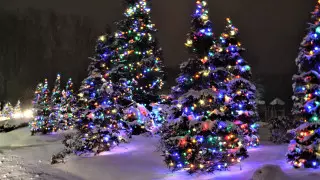 Снегопады и морозы до 25 градусов: погода в новогодние выходные в Казахстане