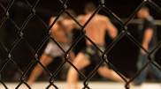 Экс-бойца UFC арестовали по подозрению в убийстве девушки после измены