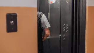 Пинал кошку в лифте: астанчанина арестовали на 10 суток