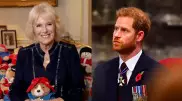 Принц Гарри публично оскорбил Камиллу Паркер-Боулз