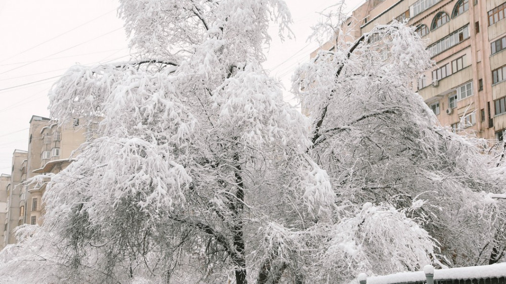 Морозы до 43 градусов: погода на 3 дня в Казахстане
