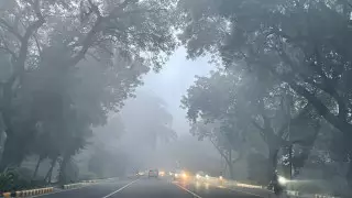 Столицу Индии накрыл сильный туман