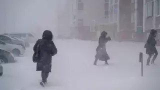 Школьники и студенты будут учиться дистанционно в Семее