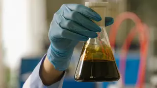 Будет ли Казахстан экспортировать нефть в Германию, ответил глава Минэнерго