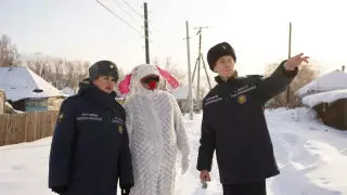 "Кролика" отправили проверять печи жителей ВКО