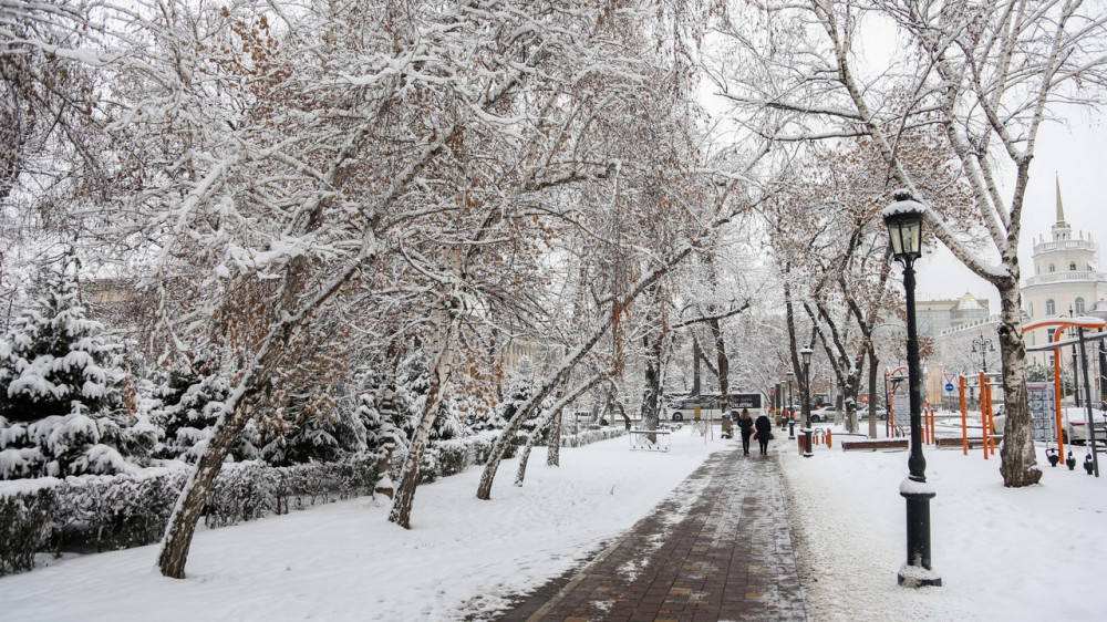 Фото:Алихан Сариев