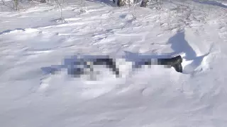 Пропавший рыбак найден мертвым в СКО