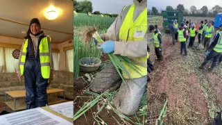 "Cобирала лук на полях". Казахстанка откровенно рассказала о заработках в Англии