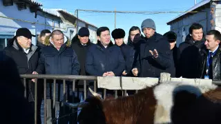 Ерлан Кошанов обсудил ход реализации проекта "Ауыл аманаты" с аграриями