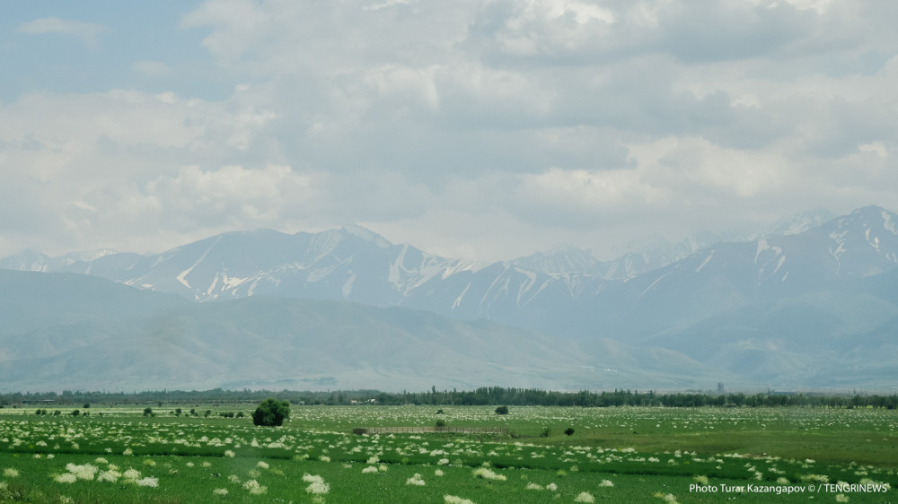 Фото Турара Казангапова