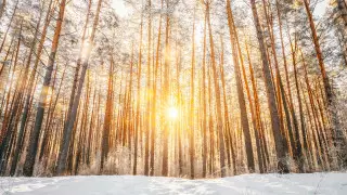 "Активизируется дневной прогрев": погода в Казахстане на 3 дня